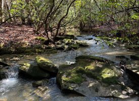 9.66+/-acres with year-round creek