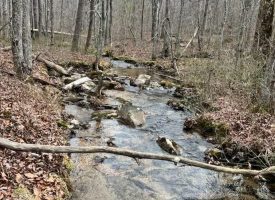 25.18+/- beautiful acres Unrestricted located on the Cumberland Plateau