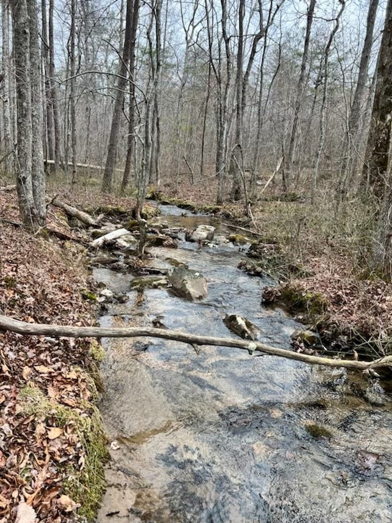 SOLD!! 25.18+/ beautiful acres Unrestricted located on the Cumberland