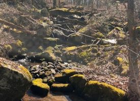 57.53+/- beautiful acres Unrestricted located on the Cumberland Plateau