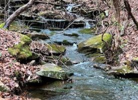 57.53+/- beautiful acres Unrestricted located on the Cumberland Plateau