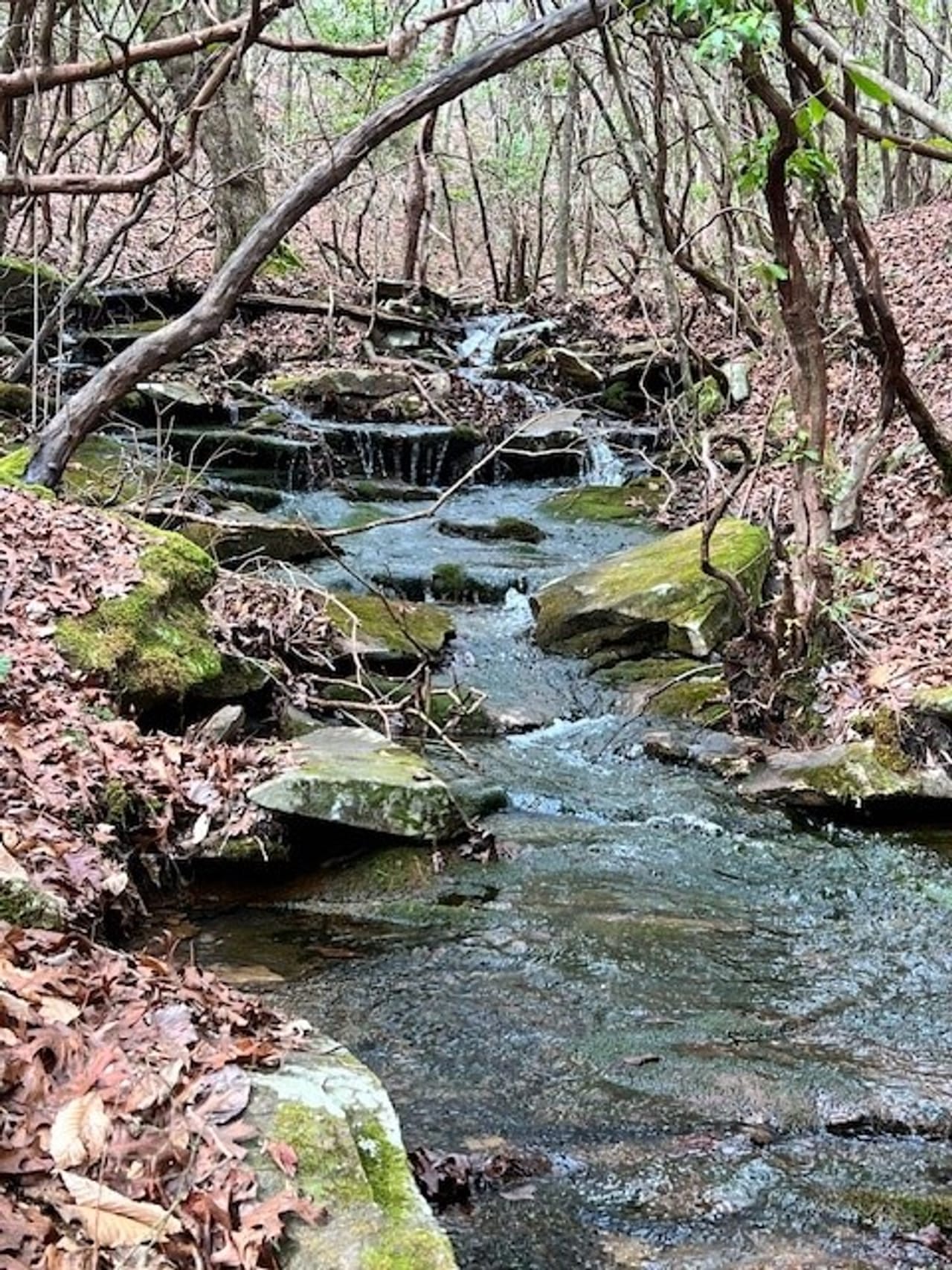 57.53+/ beautiful acres Unrestricted located on the Cumberland Plateau