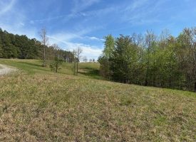 5.00+/-acres beautiful, wooded property with spectacular views
