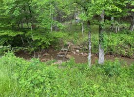 37+/-acres Unrestricted wooded Property with Off Grid Hunting Cabin