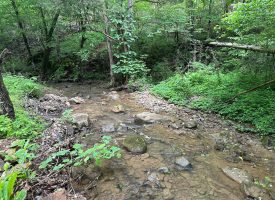 37+/-acres Unrestricted wooded Property with Off Grid Hunting Cabin