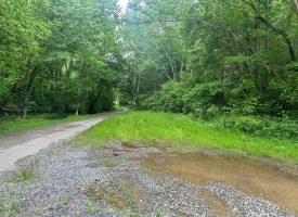 SOLD!! 9.11+/-acres Unrestricted Wooded Property