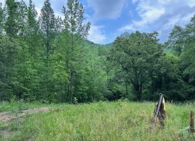 SOLD!! 9.11+/-acres Unrestricted Wooded Property