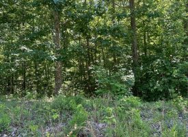 3.34+/-acres Wooded Lot