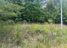 1.34+/-acres wooded lot near Chattanooga