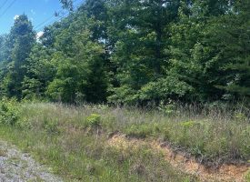 1.34+/-acres wooded lot near Chattanooga