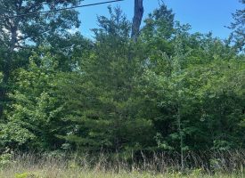 1.34+/-acres wooded lot near Chattanooga