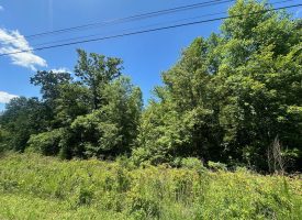 1.37+/-acres Wooded Lot Near Chattanooga