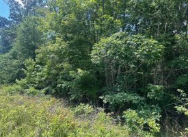 1.37+/-acres Wooded Lot Near Chattanooga