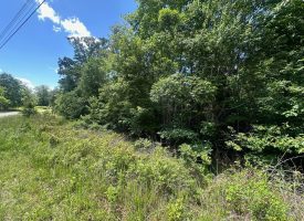 1.37+/-acres Wooded Lot Near Chattanooga