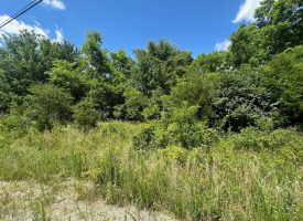 2.68+/-acres Wooded Lot Near Chattanooga