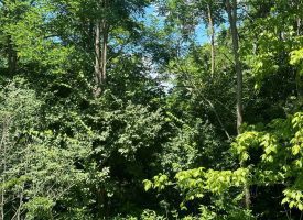 2.09+/-acres Wooded Lot Near Chattanooga