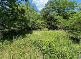 2.25+/-acres Wooded Lot Near Chattanooga