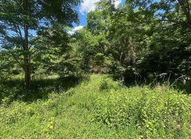 2.25+/-acres Wooded Lot Near Chattanooga