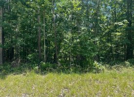 2.65+/-acres Wooded Lot Near Chattanooga