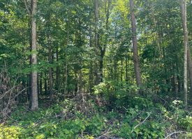 2.65+/-acres Wooded Lot Near Chattanooga