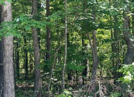 2.65+/-acres Wooded Lot Near Chattanooga