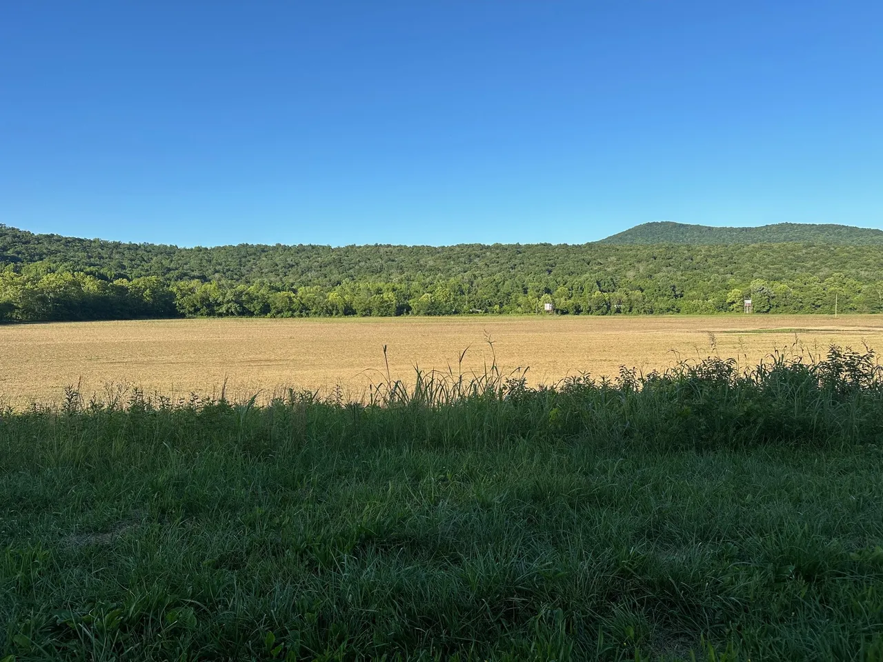 50+/acres Prime agricultural property ready for farming corn, or