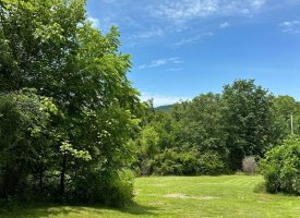 65.40+/-acres unrestricted property situated in the scenic Sweetens Cove