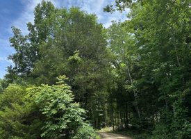 65.40+/-acres unrestricted property situated in the scenic Sweetens Cove