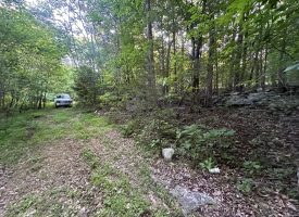 8.77+/-acres Unrestricted property with nice hardwoods with several building sites