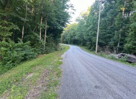 8.77+/-acres Unrestricted property with nice hardwoods with several building sites