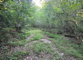 8.77+/-acres Unrestricted property with nice hardwoods with several building sites