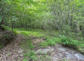 8.77+/-acres Unrestricted property with nice hardwoods with several building sites