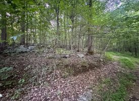 8.77+/-acres Unrestricted property with nice hardwoods with several building sites