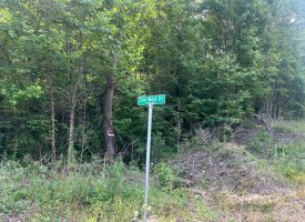 55+/-acres of prime hunting property.