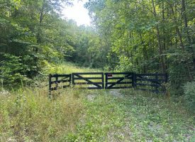 55+/-acres of prime hunting property.