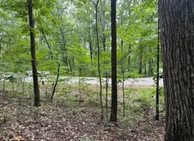 SOLD!! 5.1+/-acres Wooded Property near Chattanooga