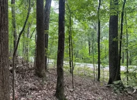 SOLD!! 5.1+/-acres Wooded Property near Chattanooga