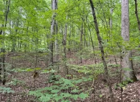 SOLD!! 5.1+/-acres Wooded Property near Chattanooga