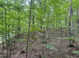 SOLD!! 5.1+/-acres Wooded Property near Chattanooga