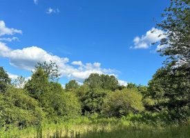 14 +/- acres in the BattleCreek community