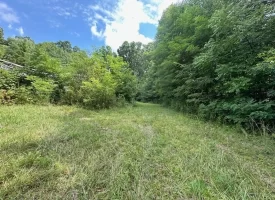 5.03+/-acres Unrestricted wooded property