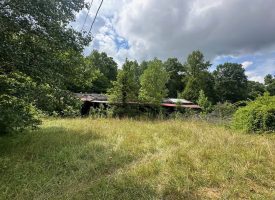 5.03+/-acres Unrestricted wooded property