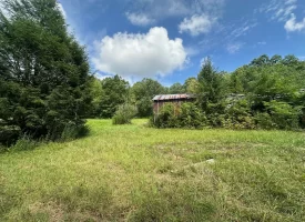 5.03+/-acres Unrestricted wooded property