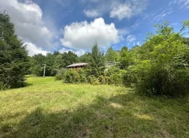 5.03+/-acres Unrestricted wooded property