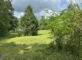 5.03+/-acres Unrestricted wooded property