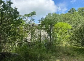 5.03+/-acres Unrestricted wooded property