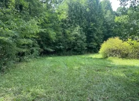 5.03+/-acres Unrestricted wooded property