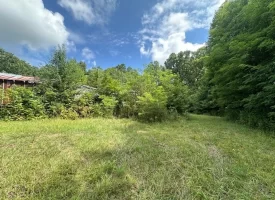 5.03+/-acres Unrestricted wooded property