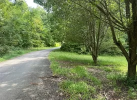 5.03+/-acres Unrestricted wooded property