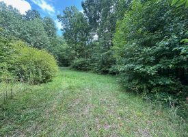 5.03+/-acres Unrestricted wooded property